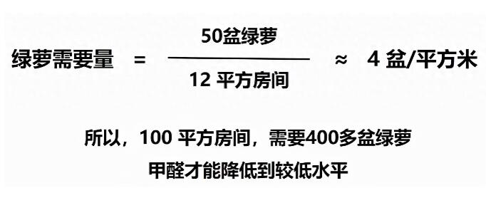 公司用綠蘿除甲醛，到底靠不靠譜？